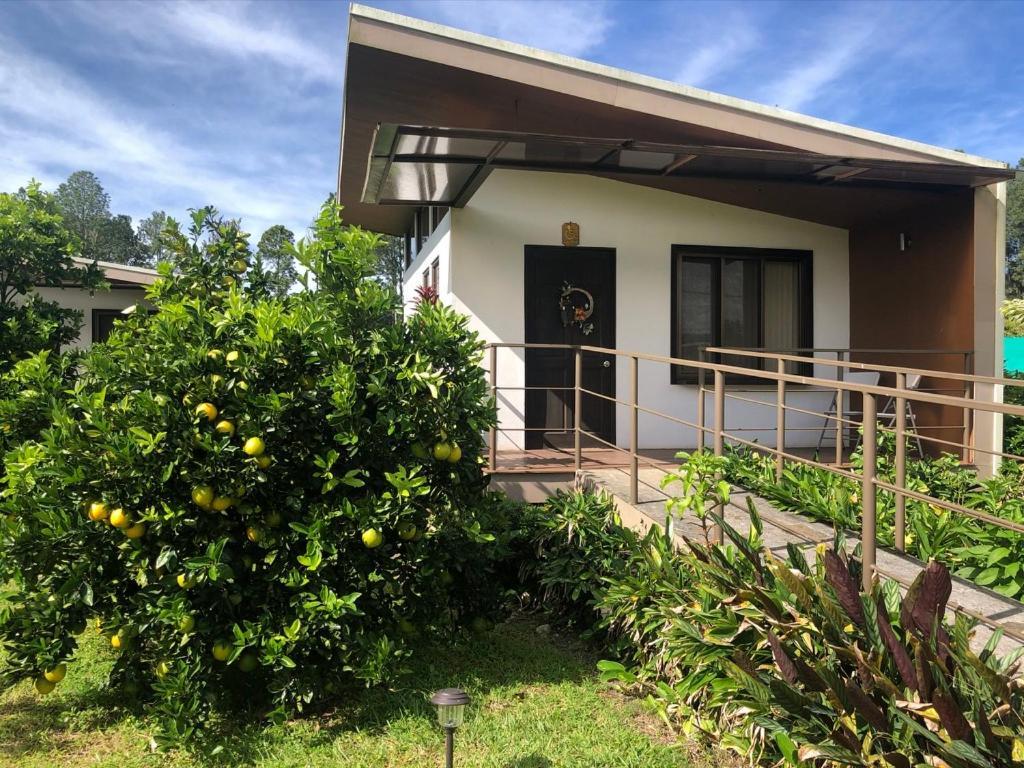 Posada Canaveral Ujarrás Exterior foto
